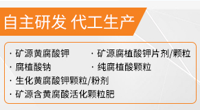 ɽ�����Ѹ�ֲ��Ƽ����޹�˾