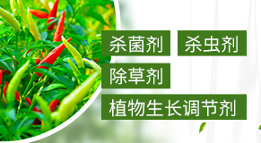 �L(zh��ng)�����L(zh��ng)�p�r(n��ng)ˎ���޹�˾