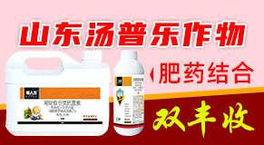 ɽ�|���՘�����ƌW���޹�˾