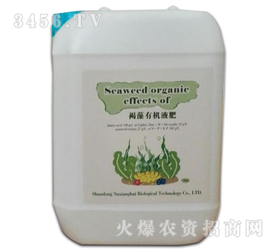 �����ЙCҺ��-���㺣����