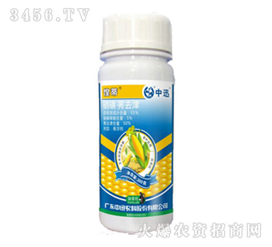 55%����ݬȥ����݄�-�̵�-��Ѹ