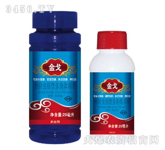 ����x���Ͷ���w����-���-���{�r(n��ng)ˎ