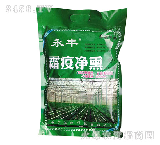 ˪�߃�Ѭ-�Z������