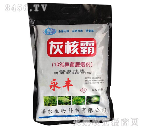 �����域��-�Һ˰�-�Z������