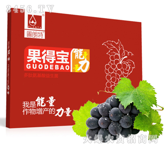 ���İ�����ˮ�ܷʣ����b��-���Ì�-������