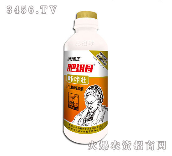 ���ǉ�����̼���-����ĸ-����