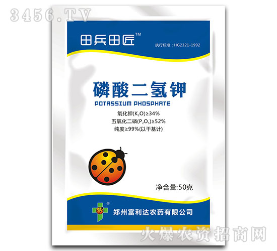 ��������-����ｳ-�����_(d��)