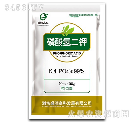 �������-ʢ���߿�