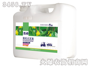 �S�ό�(zhu��n)�ø߷��ӏ�(f��)�����ЙC(j��)����Һ�ʣ����b��-�̸�-�ɭ