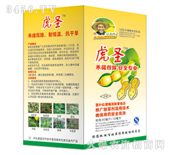 5%��୺��`����+���ǰ�����ˮ��-��ʥ-�G�µ�