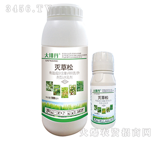 �����ˮ�鄩-���ŵ�-�G�µ�