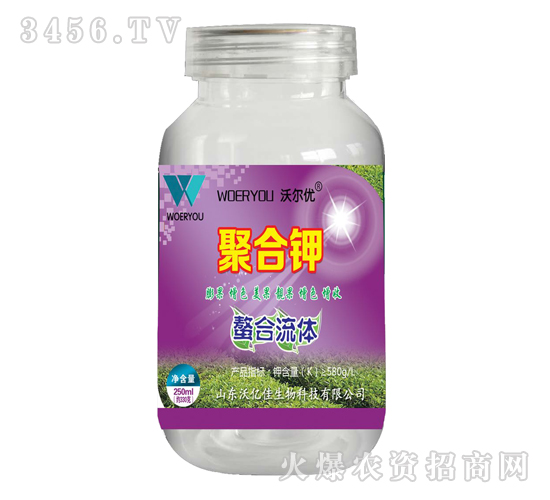 �������w-�ۺ��-�֠���(y��u)