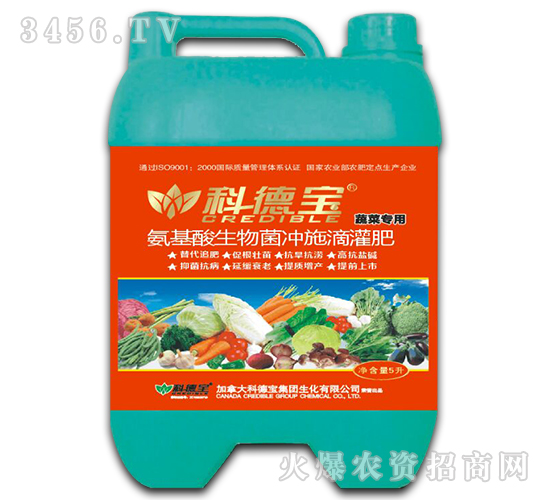 �߲ˌ��ð�����������_ʩ�ι��-�Ƶ�