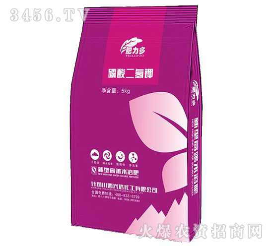 ��������-������-���d�_