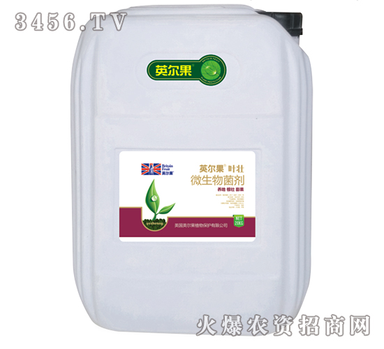 20kg΢�������-�~��-Ӣ����