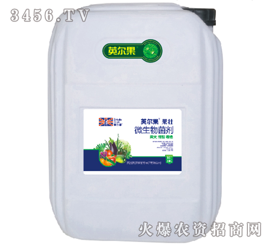 20kg΢�������-����-Ӣ����