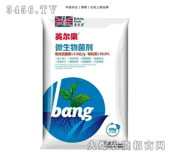 ΢�������-Ӣ����