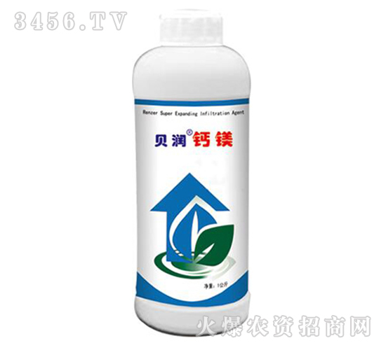 ؐ��(r��n)�}�V-ɭ��