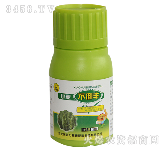 С�������S-�f�ڴ�