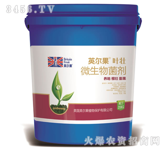 ΢�������-Ӣ�����~��-Ӣ����