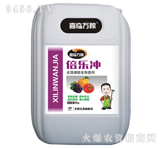 ������΢�������-�����_-������