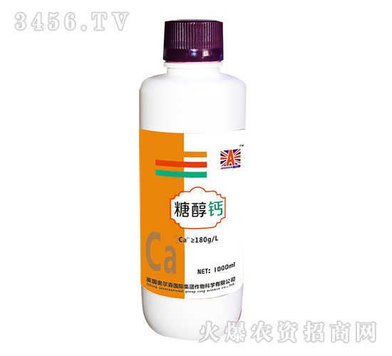 �Ǵ��}-Ӣ���W��ɭ