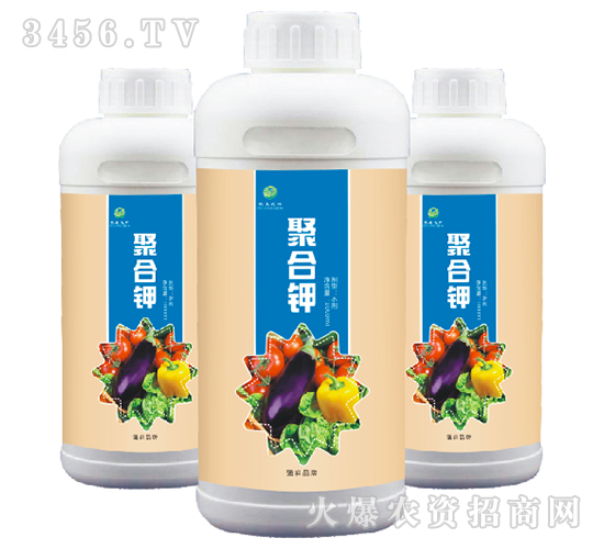 �ۺ��-��(qi��ng)ɭ�r(n��ng)��