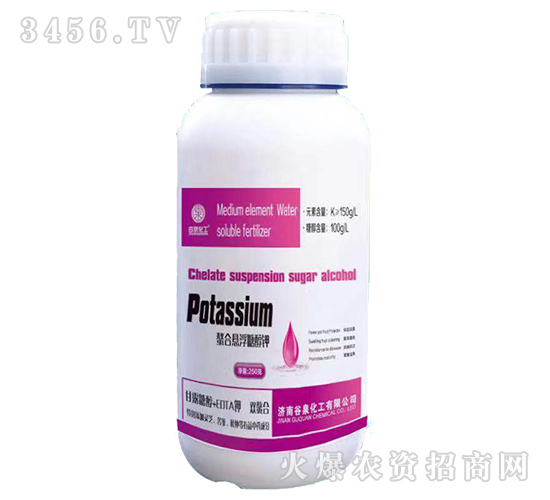 ���ϑҸ��Ǵ��-��Ȫ����