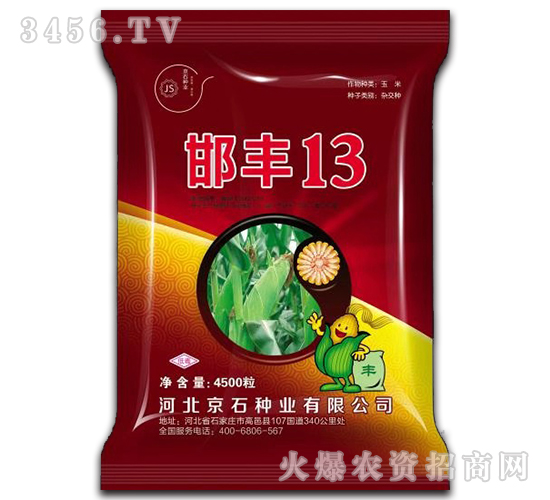 ���S13-���׷N��-��ʯ�N�I(y��)