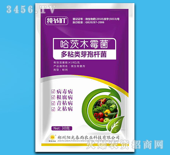 ΢�������-������-ꖹⴺ��