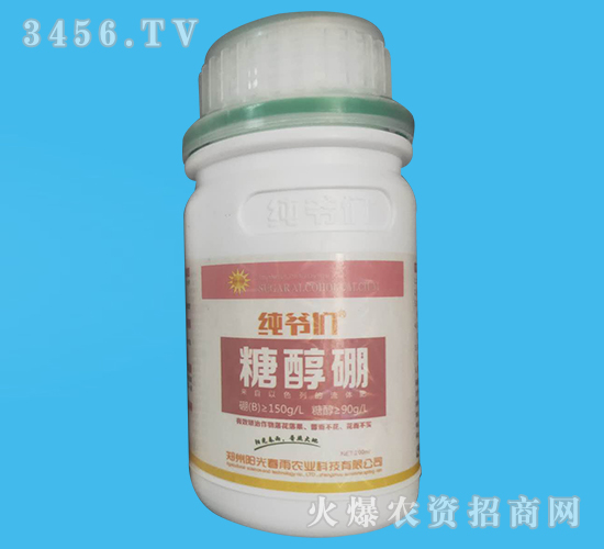 �Ǵ���-������-ꖹⴺ��