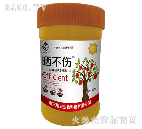 �������ЙCƤĤ���o��-�񲻂�-���r����