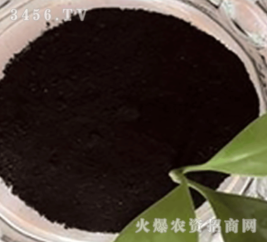 �ἃ��ֲ���-����