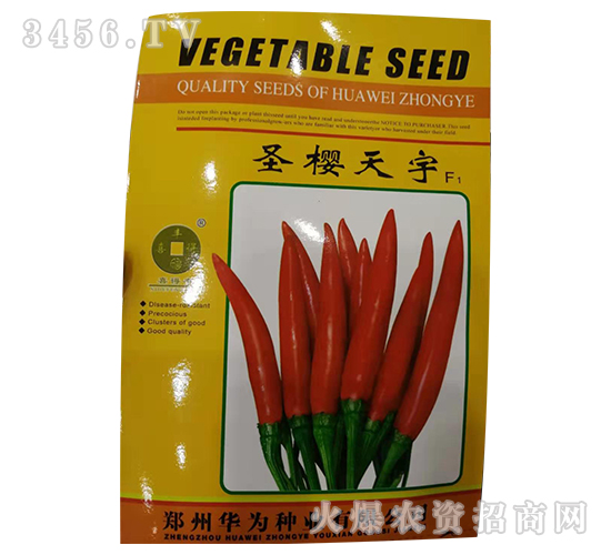 ʥ������-�����N��-�A��N�I(y��)