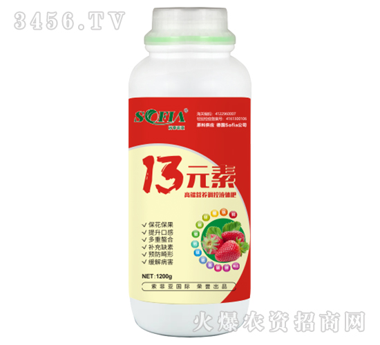 1200g13Ԫ��-���Ɓ�