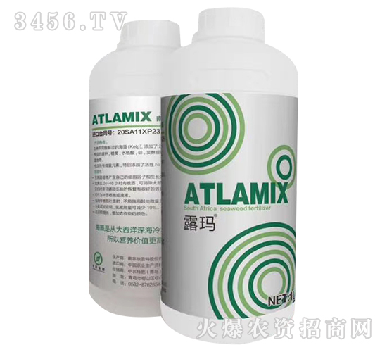 ������-¶��-���ϻ���