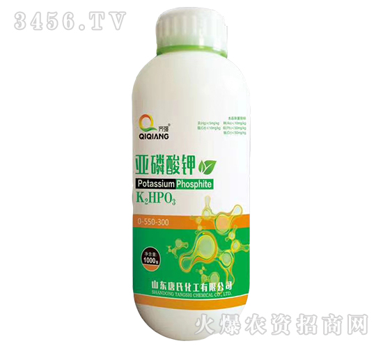 �������-�揊-���ϻ���