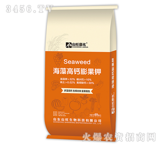 ������}����-ɽ���λ�