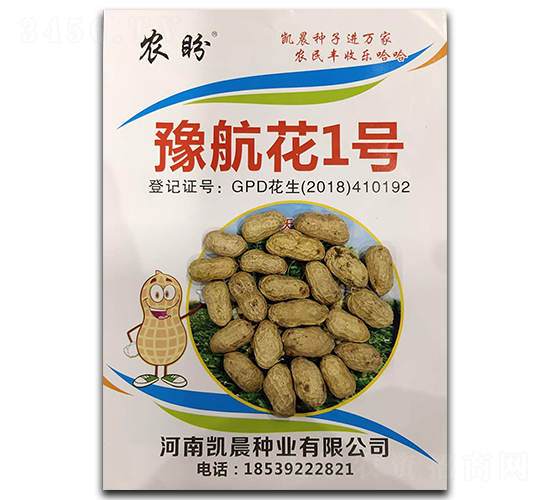 豫航花1號(hào)花生種子-農(nóng)盼-凱晨種業(yè)