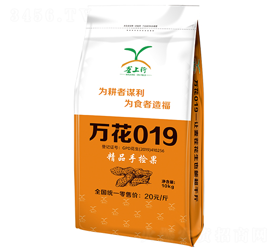 �f��019��10kg��-�����N��-������