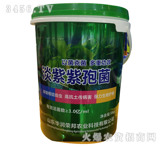 �������߾�-�A��(r��n)�s��