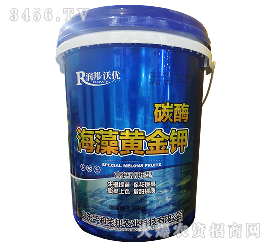 ̼ø�����S���-�A���s��