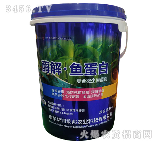 ø���~����-�A��(r��n)�s��