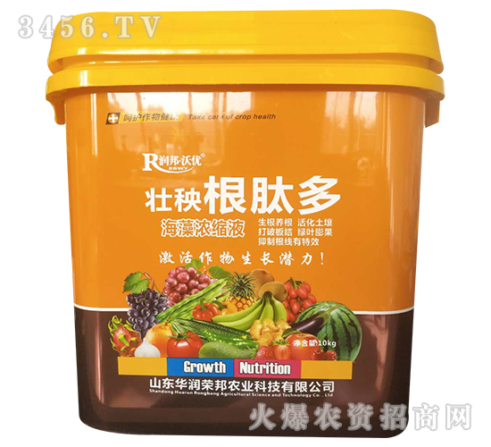 �������Ķ�-�A��(r��n)�s��