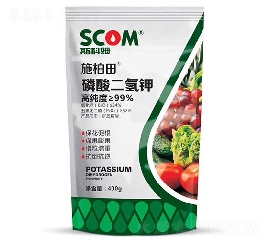 ��������-ʩ����-˹��ķ