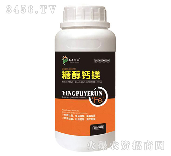 �Ǵ��}�V-Ӣ���~��