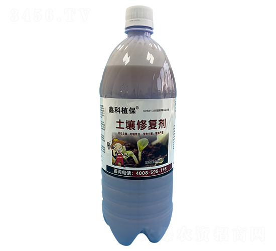 �����ޏ̈́�-�ο�ֲ��-������