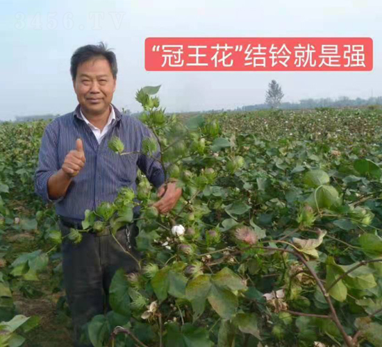 ������Ч���D-���SԪ