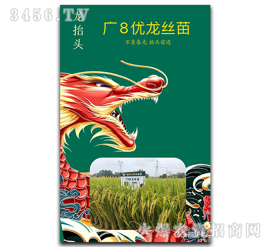 �V8��(y��u)���z��-��?zh��)��^-�׺ͷN�I(y��)