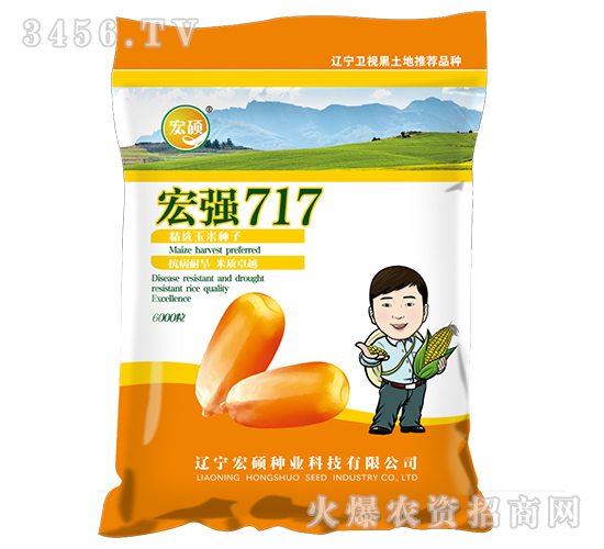 �ꏊ717-�����s���N-��T�N�I(y��)